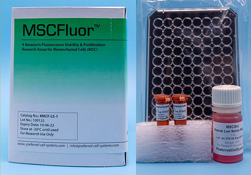 MSCFluor™: A fluorescence research assay for mesenchymal stroll cells (MSC)